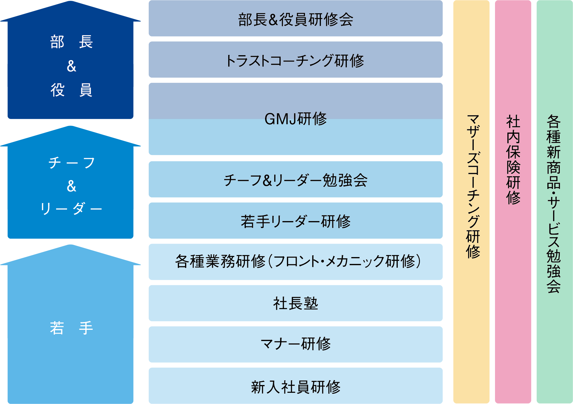 図：教育制度