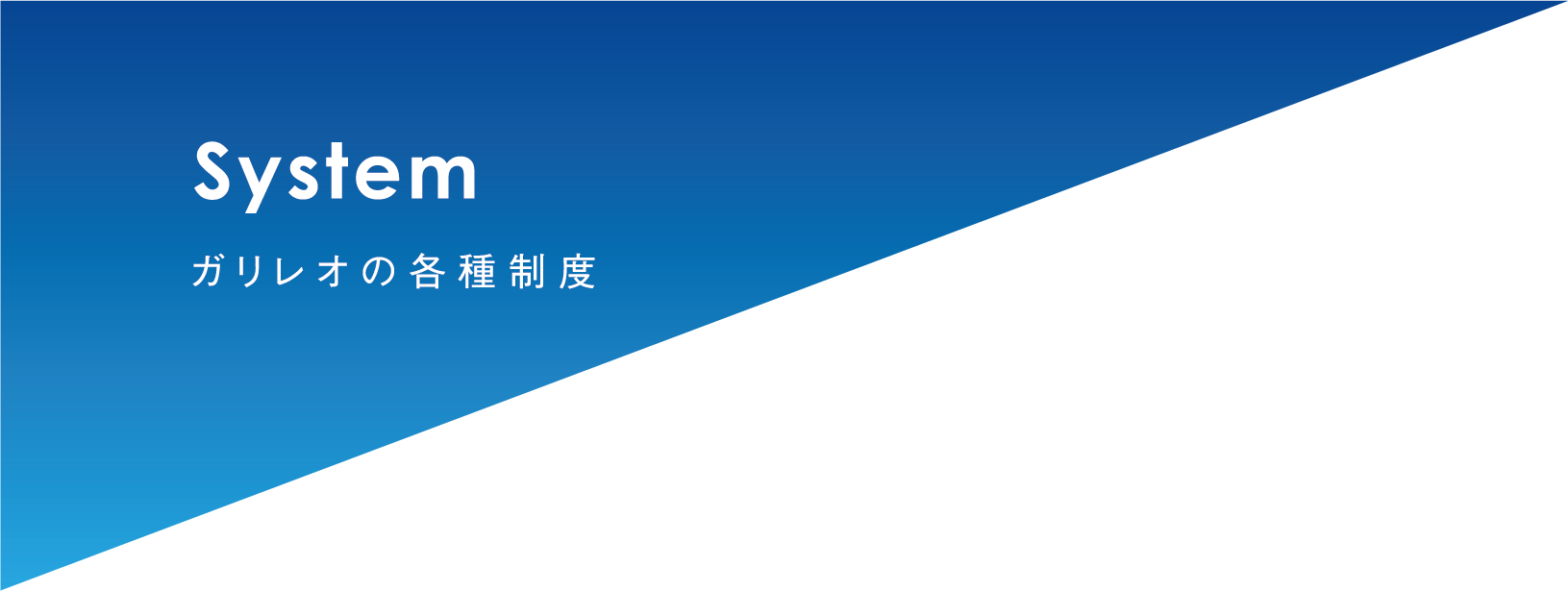 見出し：System ガリレオの各種制度